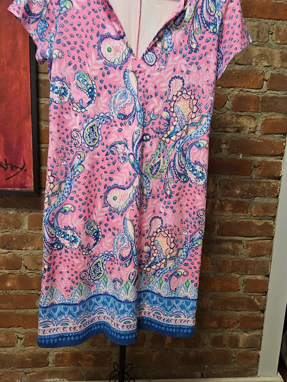 Lilly Pulitzer Pink Paisley Knee Length  Dress with Blue Border